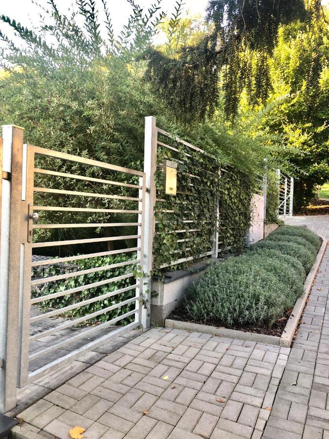 Apartmany Benesov Benesov nad Ploucnici المظهر الخارجي الصورة