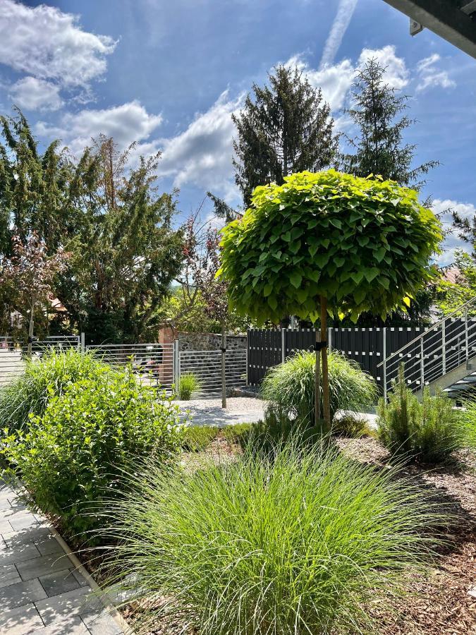 Apartmany Benesov Benesov nad Ploucnici المظهر الخارجي الصورة