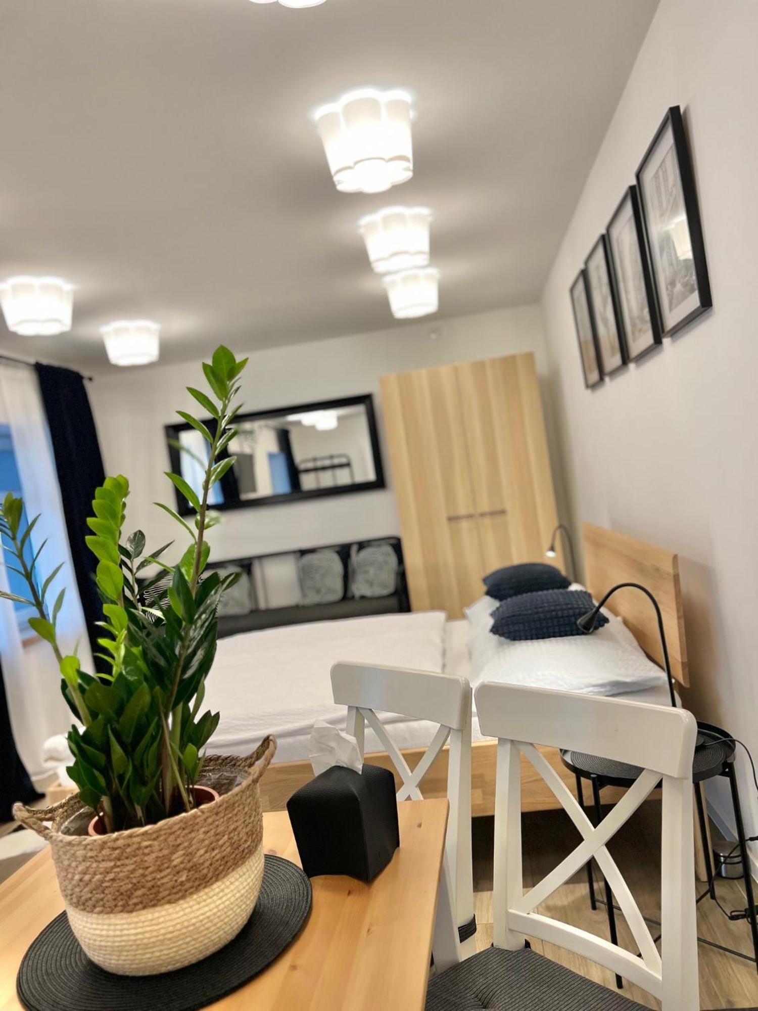 Apartmany Benesov Benesov nad Ploucnici المظهر الخارجي الصورة