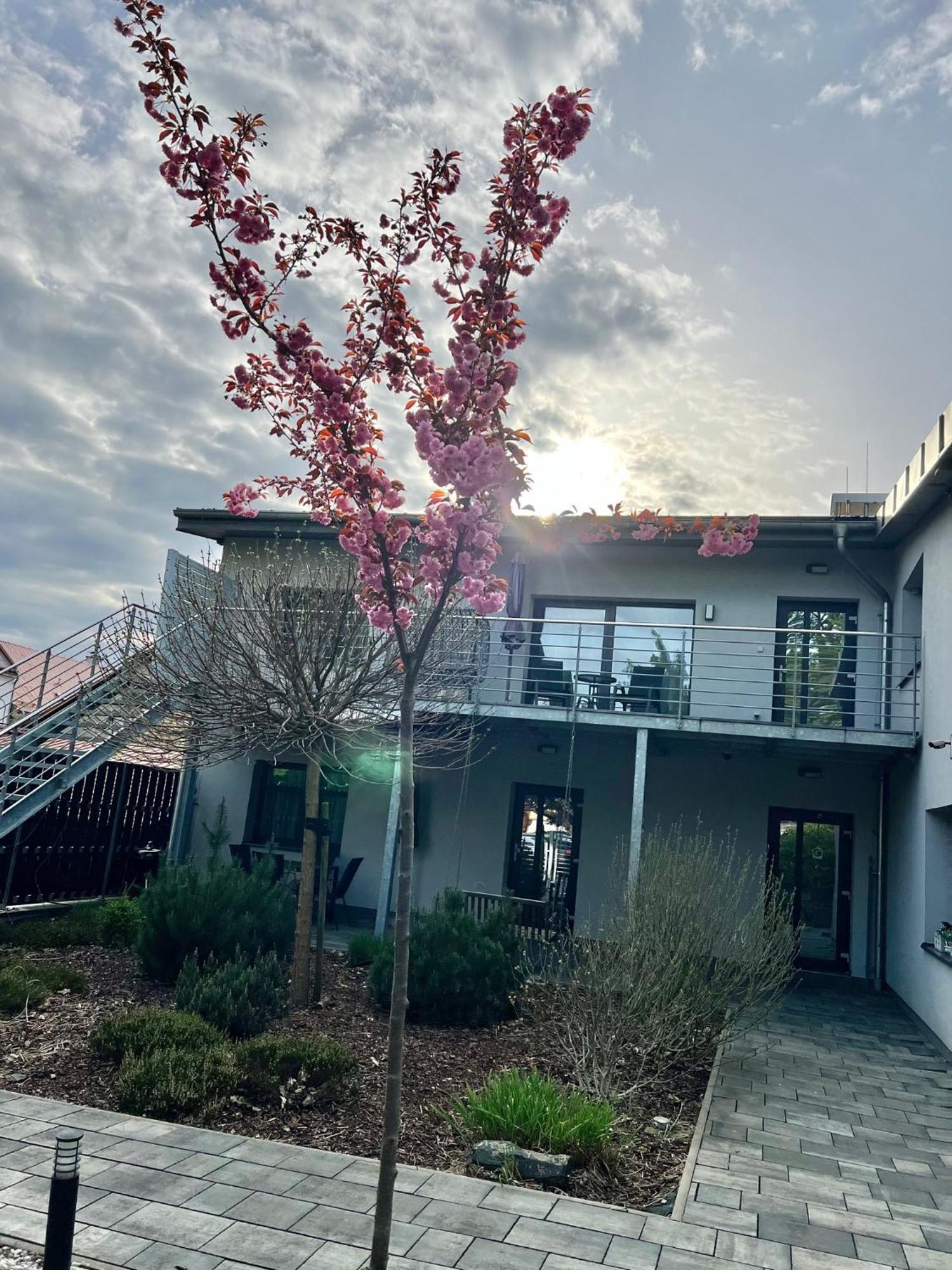 Apartmany Benesov Benesov nad Ploucnici المظهر الخارجي الصورة
